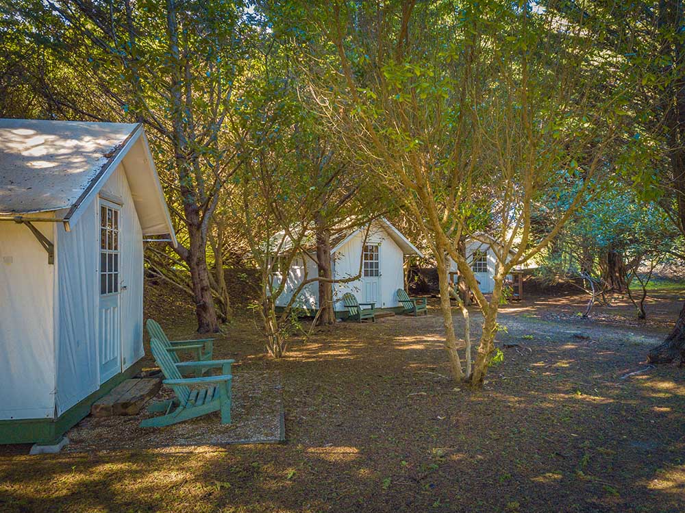 cypress village tent