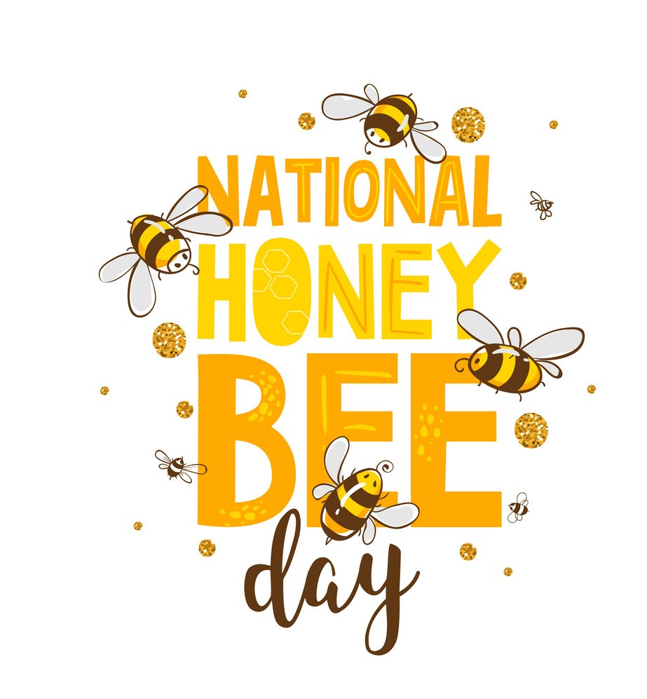 National Honey Bee Day Costanoa