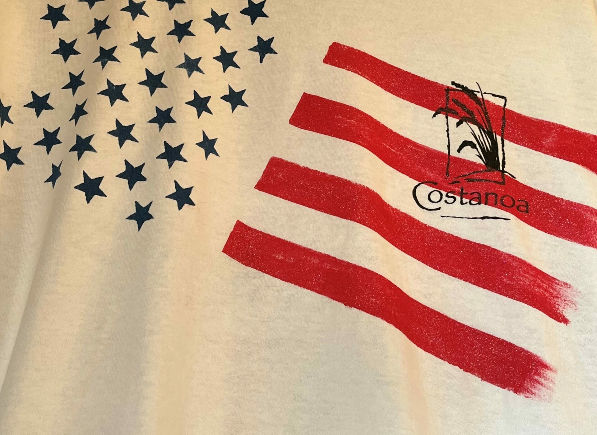 Paint your own Patriotic Shirt! | Costanoa