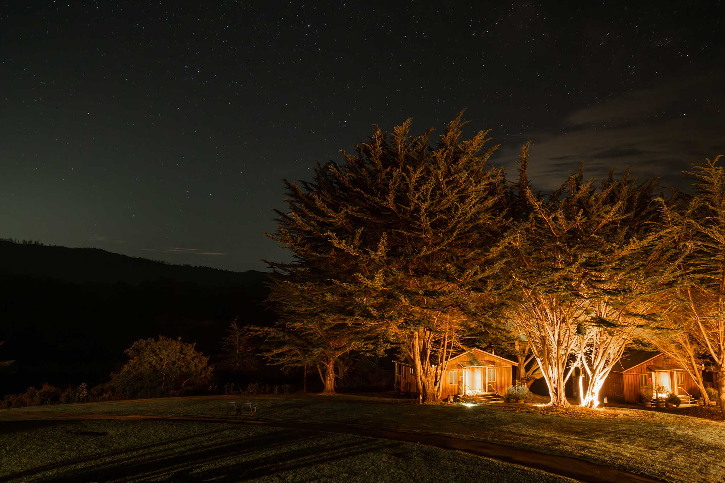 Doug fir cabins at night