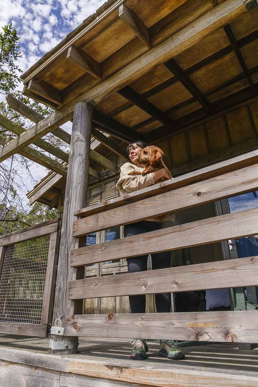 Dog friendly cabin porch