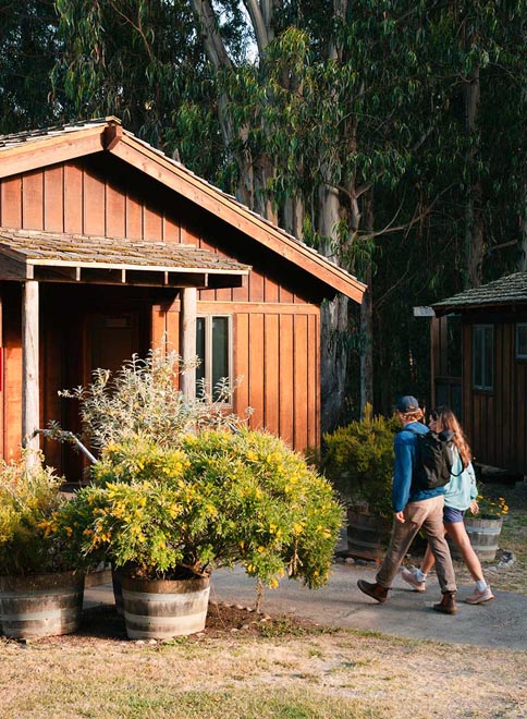 Douglas Fir Cabin