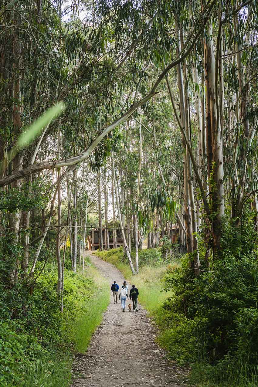 northern California hikers