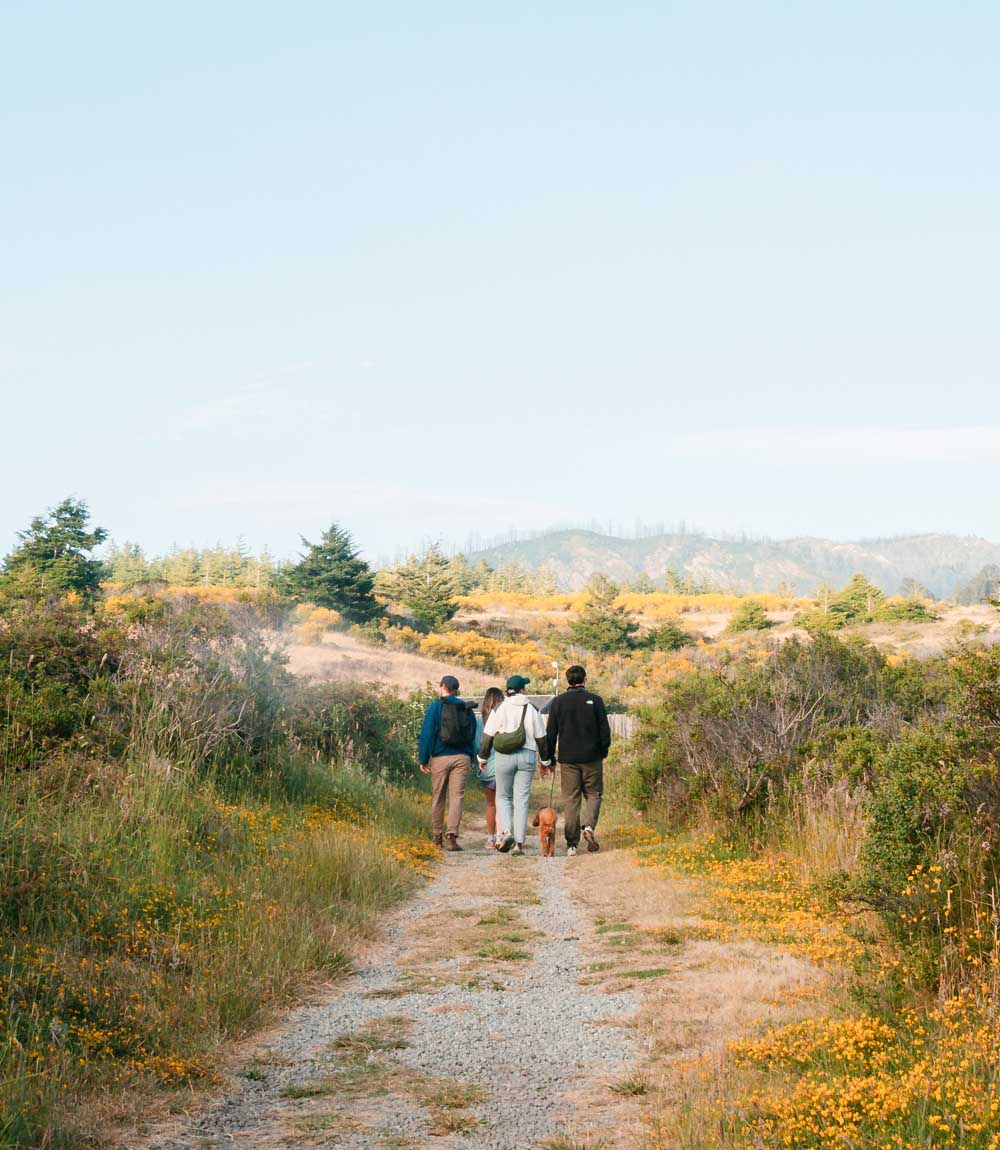 Team building hike in nature