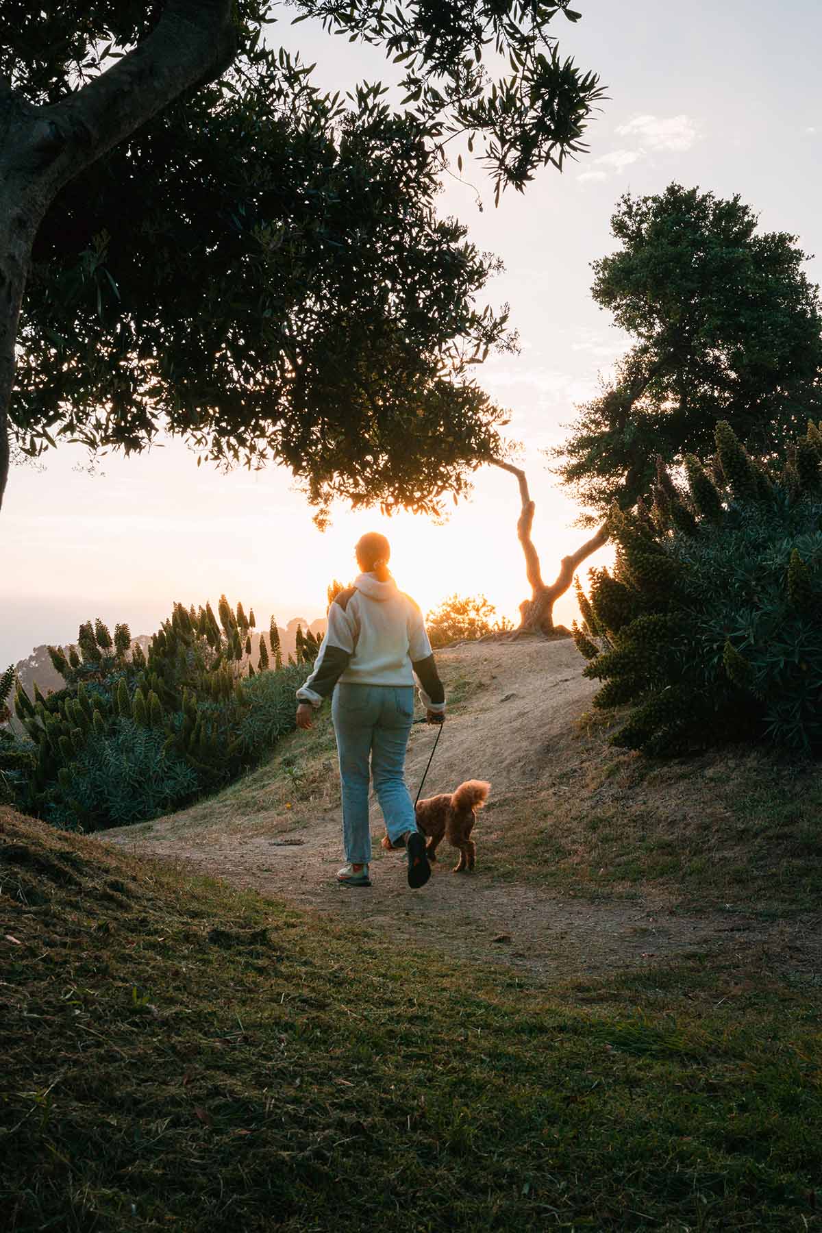 Woman walking a dog